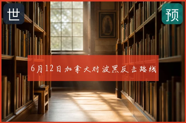6月12日加拿大对波黑反击路线